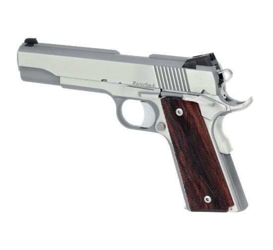 Picture of Dan Wesson Razorback Rz-10 Pistol - 01907