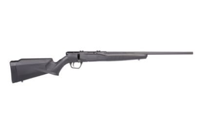 Picture of B17 17Hmr Bl/Syn 21"