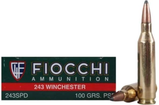 Picture of Fiocchi Ammunition 243 Win 100 Grain Pointed Soft Point 20 Round Box