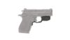 Picture of Laserguard S&W Csx Red