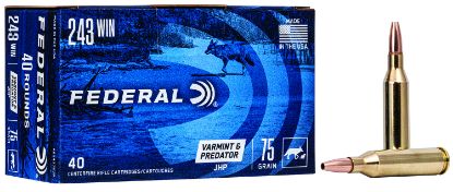 Picture of Federal Ae24375vp American Eagle Varmint & Predator 243 Win 75 Gr Jacketed Hollow Point 40 Per Box/ 5 Case 