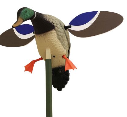 Picture of Mojo Outdoors Hw4401 Baby Mojo Drake Mallard Species Multi Color Synthetic 