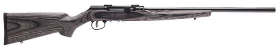 Picture of A17 Target 17Hmr Bl/Lam 22"