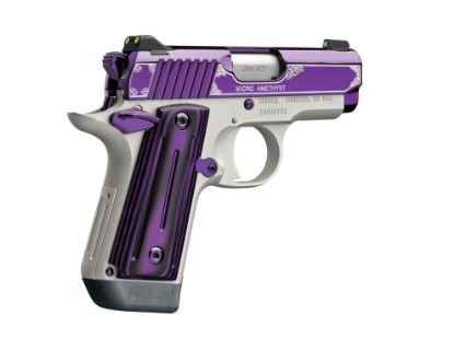 Picture of Micro Amethyst 380Acp 2.75" Ns