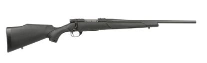 Picture of Vanguard Obsidian 243Win 22"