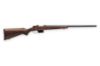 Picture of Cz 527 Varmint 17 Hornet Blue Rifle