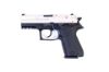 Picture of Arex Rex Zero 1Cp-08B1 Silver With Hogue Black Grips 9Mm 15 Round Pistol