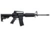 Picture of Patrolman 5.56 16" 10+1 Blk