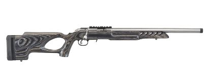 Picture of American 22Lr Ss/Lam Thole 18"