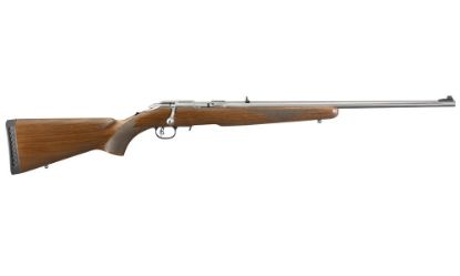 Picture of American 17Hmr Ss/Wd 22" 9+1