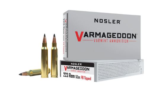 Picture of Nosler 65139 Varmageddon 223 Rem 53 Gr Flat Base Tipped 20 Per Box/ 20 Case 