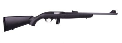 Picture of 702 Semi-Auto 22Lr Bl/Syn 18"