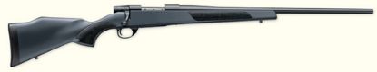 Picture of Vanguard S2 Youth 22-250 Syn