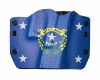 Picture of Bullseye Holster Owb Rh Glock - Nevada Flag