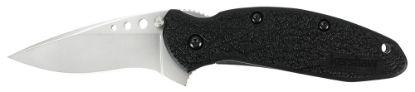 Picture of Kershaw 1620 Scallion 2.40" Folding Flipper Plain Bead Blasted 420Hc Ss Blade Black Glass-Filled Nylon Handle Includes Pocket Clip 
