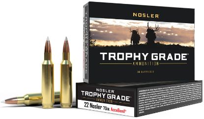 Picture of Nosler 60918 Trophy Grade 22 Nosler 70 Gr Nosler Accubond 20 Per Box/ 20 Case 