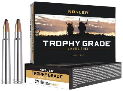 Picture of Nosler 40608 Trophy Grade Safari 375 H&H Mag 300 Gr Nosler Solid 20 Per Box/ 10 Case 