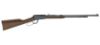 Picture of Lever Action Frontier 22Lr