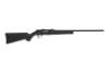 Picture of A17 17Hmr Bl/Syn 22" 10+1 At