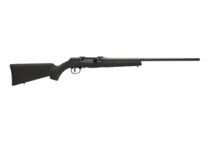 Picture of A17 17Hmr Bl/Syn 22" 10+1 At