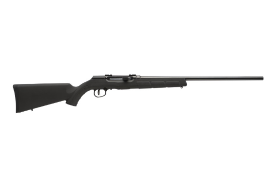 Picture of A17 17Hmr Bl/Syn 22" 10+1 At