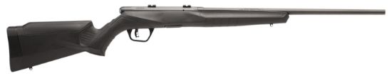 Picture of Savage Arms 70840 B17 F Bolt Action 17 Hmr Caliber With 10+1 Capacity, 21" Barrel, Matte Blued Metal Finish & Matte Black Synthetic Stock Left Hand (Full Size) 