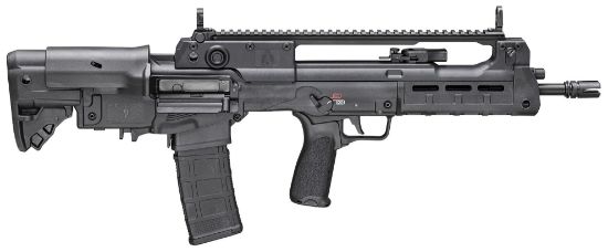 Picture of Hellion 5.56 Blk 16" 30+1