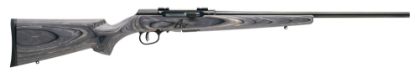 Picture of A17 Sporter 17Wsm Bl/Lam 22"