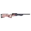 Picture of Crickett Cpr 22Lr Old Glory  #