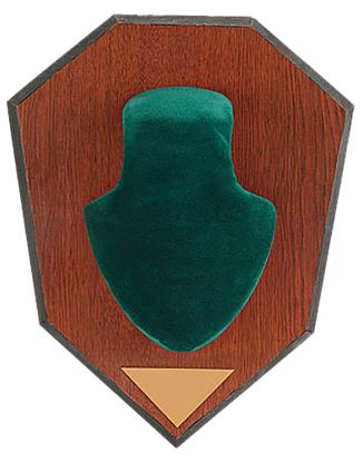 Picture of Allen 562 Antler Mounting Kit Green Wood Grain Laminate 