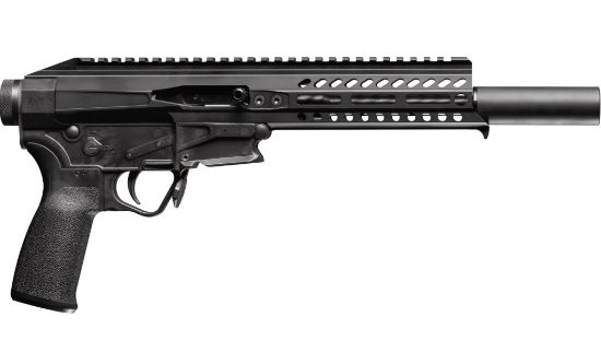 Picture of Psg .22Lr Pistol 8" Blk Mlok