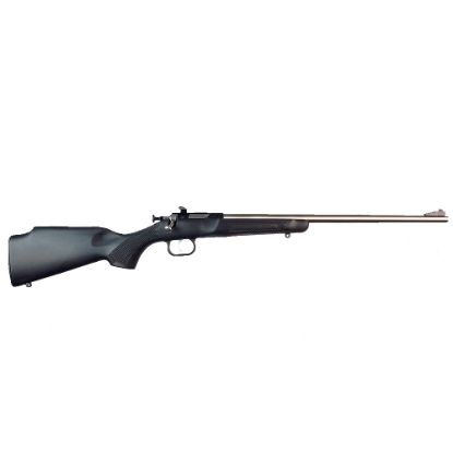 Picture of Crickett 22Lr Ss/Black Syn