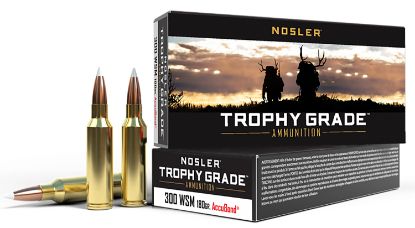 Picture of Nosler 60063 Trophy Grade 300 Wsm 180 Gr Nosler Accubond 20 Per Box/ 10 Case 