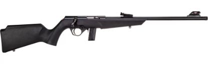 Picture of Rb22 22Lr Blk/Syn 16.5" 10+1