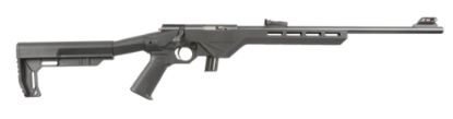 Picture of Citadel Trakr 22Lr Blk/Syn 18"