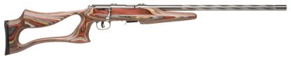 Picture of Savage Arms 96771 93R17 Bsev 17 Hmr Caliber With 5+1 Capacity, 21" Barrel, Satin Stainless Metal Finish & Fixed Thumbhole Multi Laminate Stock Right Hand (Full Size) 