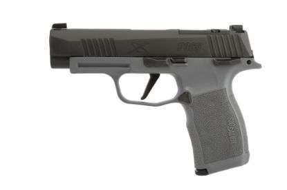 Picture of P365 Xl 9Mm Nit/Gray 12+1 Xray