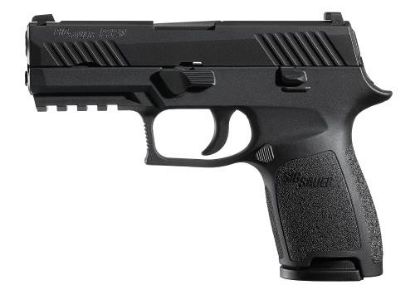 Picture of P320 Cmpct 45Acp Nit 9+1 Ns