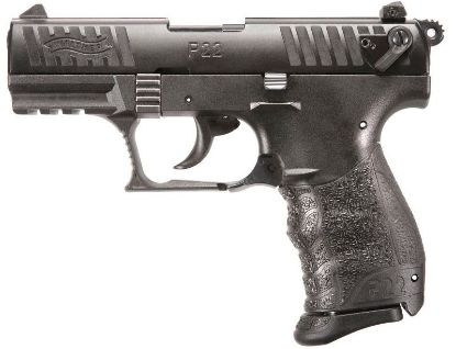 Picture of P22q 22Lr 10+1 3.4" Black