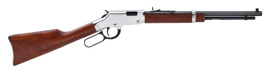 Picture of Golden Boy Silver 22Lr Cmpt