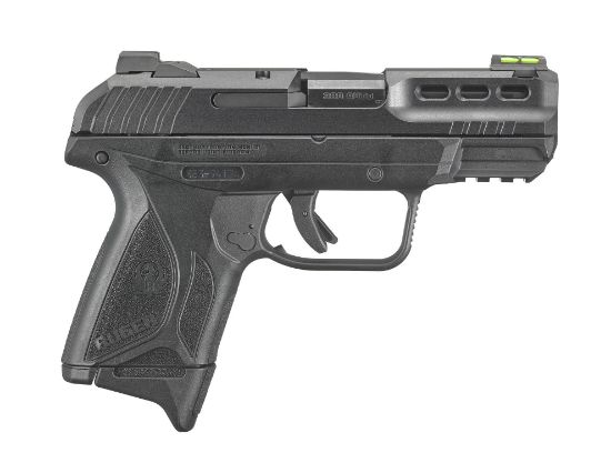 Picture of Security-380 380Acp Blk 10+1