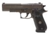 Picture of P220 Legion 10Mm Gray Sao Or #