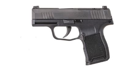 Picture of P365 380Acp Blk 10+1 Ns