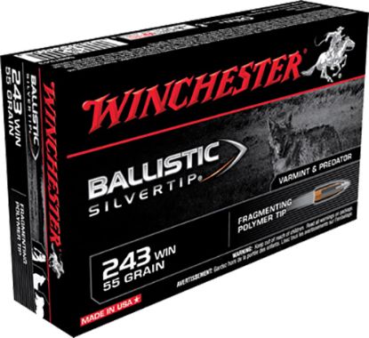 Picture of Winchester Ammo Sbst243 Ballistic Silvertip 243 Win 55 Gr Fragmenting Polymer Tip 20 Per Box/ 10 Case 