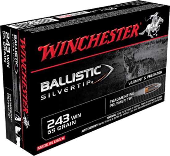 Picture of Winchester Ammo Sbst243 Ballistic Silvertip 243 Win 55 Gr Fragmenting Polymer Tip 20 Per Box/ 10 Case 