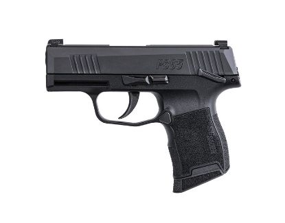 Picture of P365 380Acp Blk 10+1 Ns Sfty