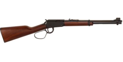 Picture of Lever Action 22Lr Large Loop