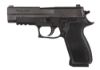 Picture of P220 R Elite 45Acp Nit Slite #