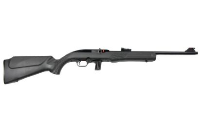 Picture of Rs22 22Lr Blk/Gray 18" 10+1  #