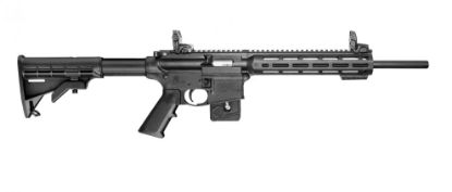 Picture of M&P15-22 Sport 22Lr 10+1 Comp